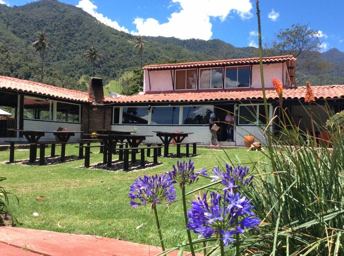 Gasthaus Palmas De Cocora Salento Exterior foto