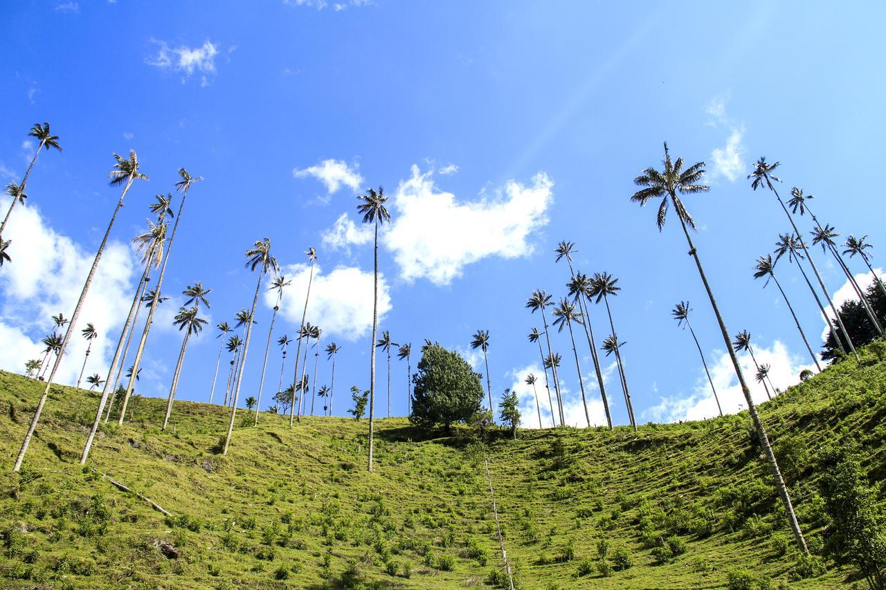 Gasthaus Palmas De Cocora Salento Exterior foto
